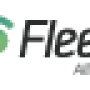 1-fleet logo color small